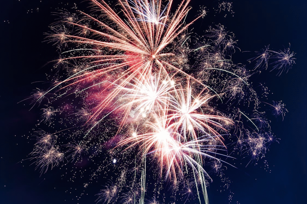 Fireworks in the night sky
